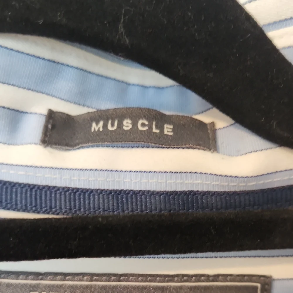 Abercrombie & Fitch Light Blue Striped Button Down Shirt - Picture 3 of 4